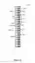 Fig. 06 - Fluid filtration system