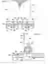 Fig. 11 - Salad pusher