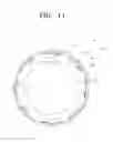 Fig. 12 - Cooking container for electronic oven