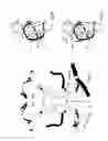 Fig. 06 - CHILD CARRIER