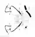 Fig. 08 - CHILD CARRIER