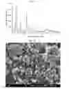 Fig. 02 - Crystalline iron phosphate doped with metal, method of preparing the same, and lithium composite metal phosphate prepared therefrom
