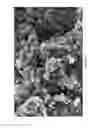 Fig. 03 - METHOD FOR PREPARING A PASTE-LIKE COMPOSITION COMPRISING CARBON-BASED CONDUCTIVE FILLERS