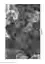 Fig. 04 - METHOD FOR PREPARING A PASTE-LIKE COMPOSITION COMPRISING CARBON-BASED CONDUCTIVE FILLERS