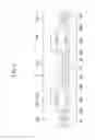 Fig. 03 - OLED with chamfered emission layer
