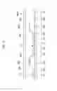Fig. 07 - OLED with chamfered emission layer