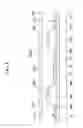 Fig. 09 - OLED with chamfered emission layer