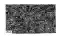 Fig. 01 - Laterally aligned colloidal nanorods assemblies