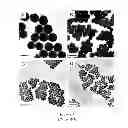 Fig. 02 - Laterally aligned colloidal nanorods assemblies