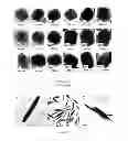 Fig. 03 - Laterally aligned colloidal nanorods assemblies