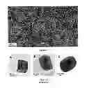 Fig. 04 - Laterally aligned colloidal nanorods assemblies