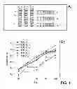 Fig. 07 - Method for coupling a graphene layer and a substrate and device comprising the graphene/substrate structure obtained