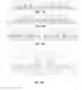 Fig. 56 - Quad flat no-lead (QFN) packaging structure and method for manufacturing the same