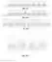Fig. 61 - Quad flat no-lead (QFN) packaging structure and method for manufacturing the same