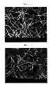 Fig. 08 - Selective water vapour transport membranes comprising a nanofibrous layer and methods for making the same