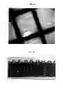 Fig. 09 - Selective water vapour transport membranes comprising a nanofibrous layer and methods for making the same