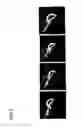 Fig. 08 - Dried hydrogel, dried vitrigel membrane, and methods for producing the same
