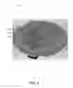 Fig. 12 - Apparatus and method for aligning and centering wafers