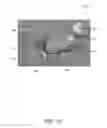 Fig. 15 - Apparatus and method for aligning and centering wafers