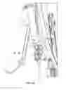 Fig. 15 - Scooter having a gearing system