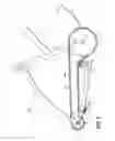 Fig. 04 - Drive system for a pedaled vehicle