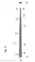 Fig. 09 - PIPE JOINTS