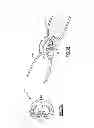 Fig. 09 - Brunnian link making device and kit