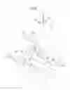 Fig. 07 - Vehicle body front section structure