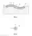 Fig. 04 - FLEXIBLE STRUCTURE FOR GENERATING ELECTRICAL ENERGY FROM WAVE MOTIONS