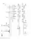 Fig. 07 - Method and device for determination of a magnetic resonance control sequence
