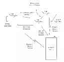 Fig. 01 - Interval management using data overlay