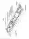 Fig. 07 - Antenna device including a phase shifter and a feeding portion configured as a triplate line with a center conductor
