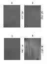 Fig. 09 - TOUCH-SENSITIVE PANEL FOR A COMMUNICATION DEVICE