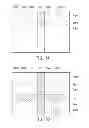 Fig. 05 - Touch apparatus and touch sensing method thereof