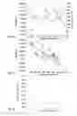 Fig. 06 - Touch force estimation in an FTIR-based projection-type touch-sensing apparatus
