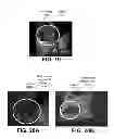 Fig. 22 - Methods and systems for six degree-of-freedom haptic interaction with streaming point data