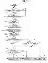 Fig. 09 - Control apparatus for displaying vehicle information synthesized with external information