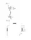 Fig. 03 - Camera module for vehicle