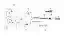 Fig. 01 - SECURITY SYSTEM FOR TRACKING AND SURVEILLING AN OBJECT DETERMINED AS UNRECOGNIZABLE USING A SURVEILLANCE CAMERA AND METHOD FOR PROVIDING SECURITY SERVICE USING THE SYSTEM