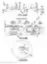 Fig. 30 - Vertically stacked image sensor