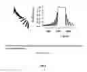 Fig. 04 - Adaptive liquid crystal structural interface