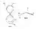 Fig. 09 - Glasses clip
