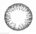 Fig. 01 - Colored contact lens