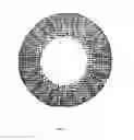 Fig. 05 - Colored contact lens