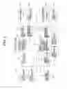 Fig. 04 - Ophthalmologic apparatus