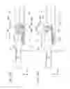 Fig. 27 - Exposure device and image forming apparatus