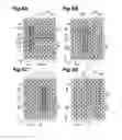 Fig. 07 - Method and device for inspecting spatial light modulator, and exposure method and device