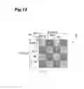 Fig. 13 - Method and device for inspecting spatial light modulator, and exposure method and device
