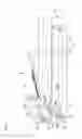 Fig. 03 - Image forming apparatus with dynamic job execution