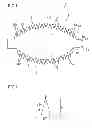 Fig. 02 - Optical element, imaging apparatus including the element, and method of manufacturing the optical element